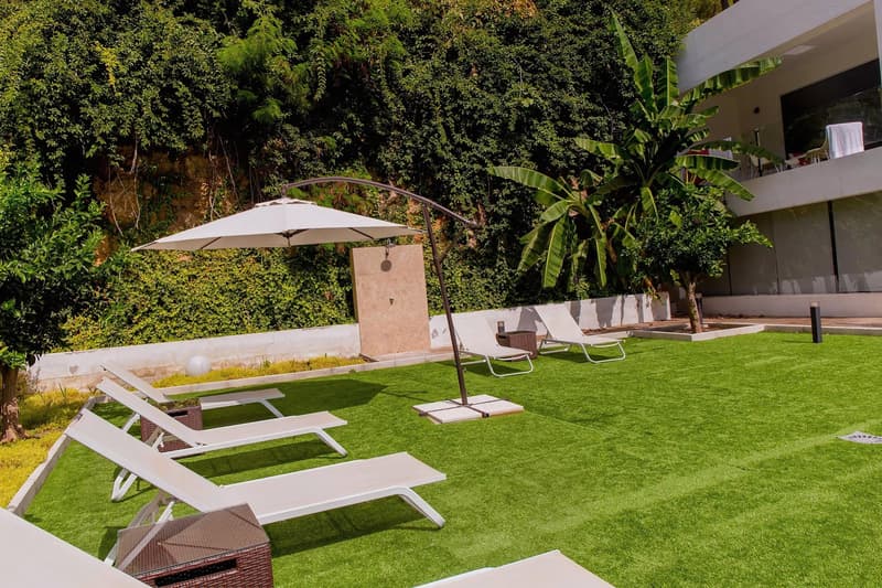 Dimona Suites