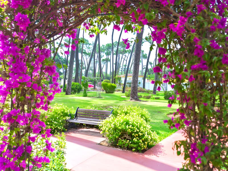 AluaSun Marbella Park