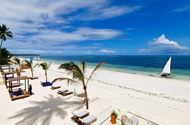 Dream of Zanzibar