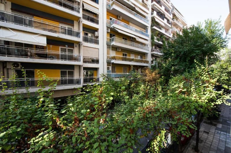 Mandarin Apartments by halu!