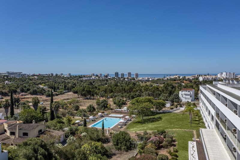 Pelican Alvor
