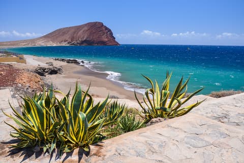 Last minute Tenerife