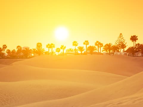 Vakantie Gran Canaria