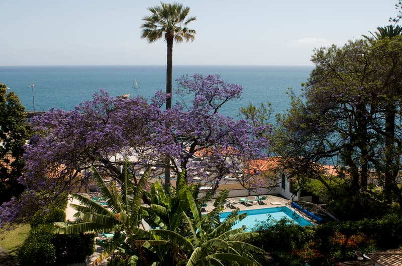 Quinta Penha De Franca