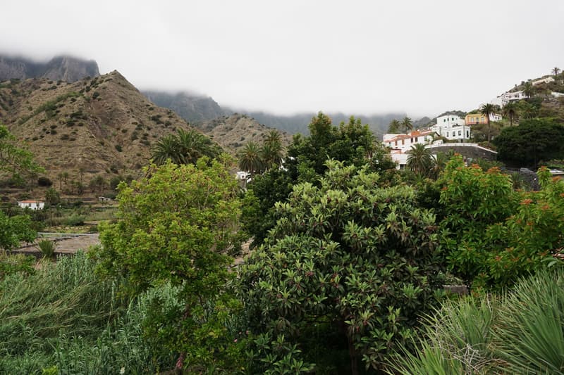 Finca Piñero